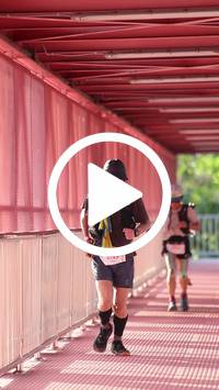 BIB:  <button type="button" onclick="openModal(27337357)" class="btn btn-primary btn-sm float-right" data-toggle="modal" data-target=".modal-high-quality">
                <i class="fa fa-download"></i> Download
                </button>